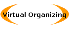Virtual Organizing