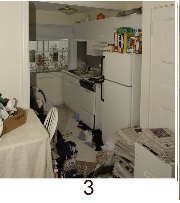 hoarding_kitchen_3