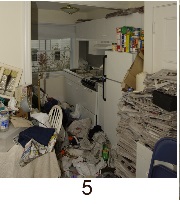 hoarding_kitchen_5