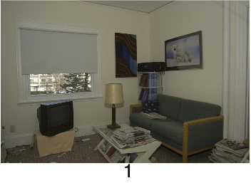 hoarding_living_room_1