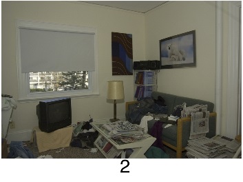 hoarding_living_room_2