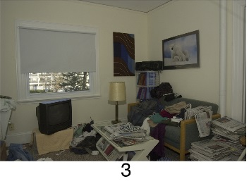 hoarding_living_room_3