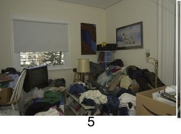 hoarding_living_room_5